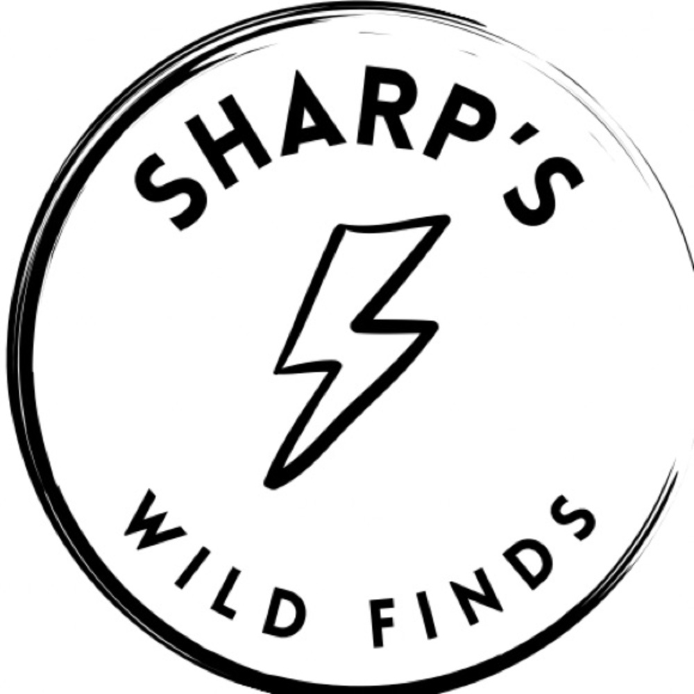 ⚡️Sharp’s Wild Finds ⚡️